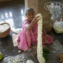 фото из отзыва ID 1319159