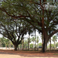 фото из отзыва ID 1319159