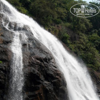 фото из отзыва ID 1319159