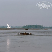 фото из отзыва ID 1319159