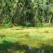 фото из отзыва ID 1319159