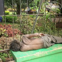 фото из отзыва ID 1319159