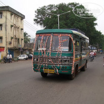 фото из отзыва ID 1319159