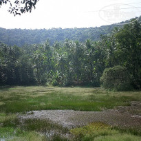 фото из отзыва ID 1319159