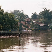 фото из отзыва ID 1319159