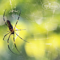 фото из отзыва ID 1319159