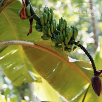 фото из отзыва ID 1319159