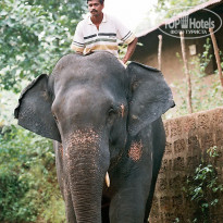 фото из отзыва ID 1319159