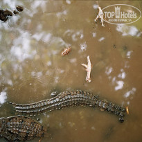 фото из отзыва ID 1319159