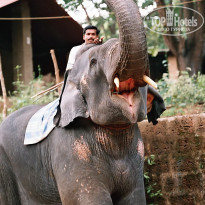 фото из отзыва ID 1319159