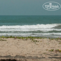 фото из отзыва ID 1318995