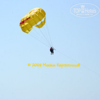 фото из отзыва ID 132857