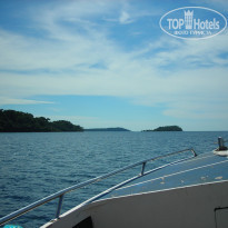 фото из отзыва ID 1320013