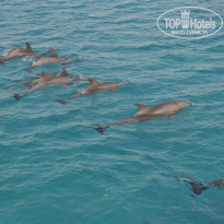 фото из отзыва ID 1320062