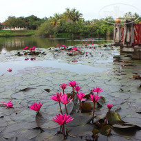 фото из отзыва ID 1320271