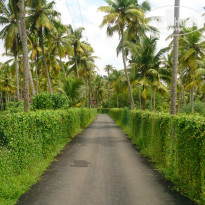 фото из отзыва ID 1320323