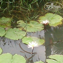 фото из отзыва ID 1320323