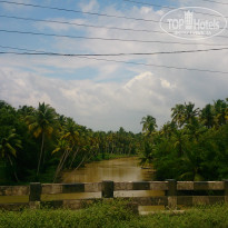 фото из отзыва ID 1320323