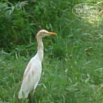 фото из отзыва ID 1320323