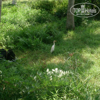 фото из отзыва ID 1320323