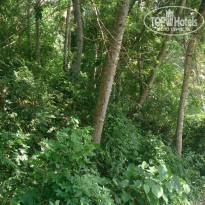 фото из отзыва ID 1320323