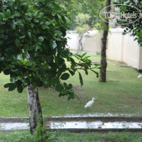 фото из отзыва ID 1320323