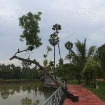 фото из отзыва ID 1320323