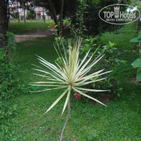 фото из отзыва ID 1320323