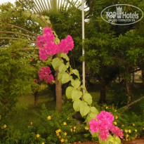 фото из отзыва ID 1320323