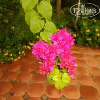 фото из отзыва ID 1320323
