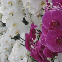 фото из отзыва ID 1320352