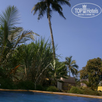 фото из отзыва ID 1320400