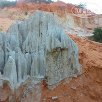 фото из отзыва ID 1320401