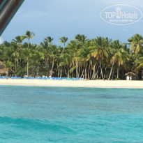 фото из отзыва ID 1320417