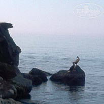 фото из отзыва ID 1320438