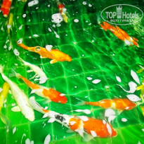 фото из отзыва ID 1320641