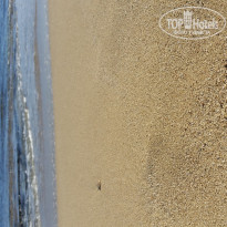 фото из отзыва ID 1320651