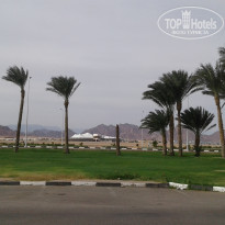 фото из отзыва ID 1320659