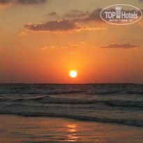 фото из отзыва ID 1320676