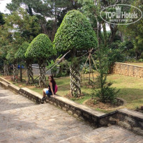 фото из отзыва ID 1320875