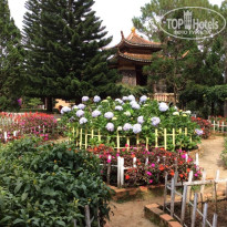 фото из отзыва ID 1320875