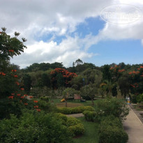 фото из отзыва ID 1320875