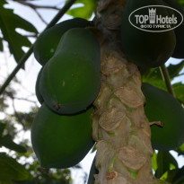 фото из отзыва ID 1321026