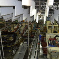 фото из отзыва ID 1321235