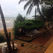 фото из отзыва ID 1321252