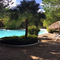 фото из отзыва ID 1321322