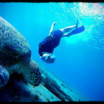 фото из отзыва ID 1321352