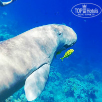 фото из отзыва ID 1321352