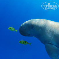 фото из отзыва ID 1321352