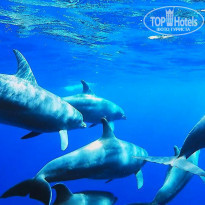 фото из отзыва ID 1321352